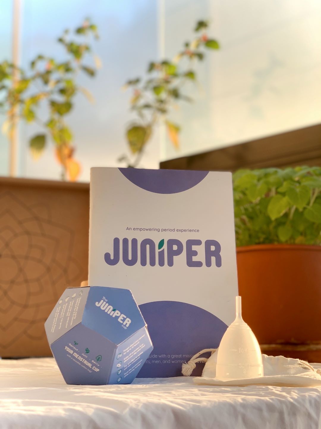 juniper booklet and period cup